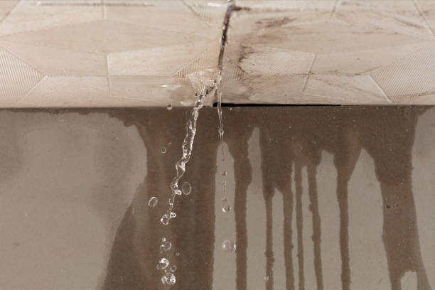 Professional Burst Pipe Cleanup technician working in Rocheport, MO
